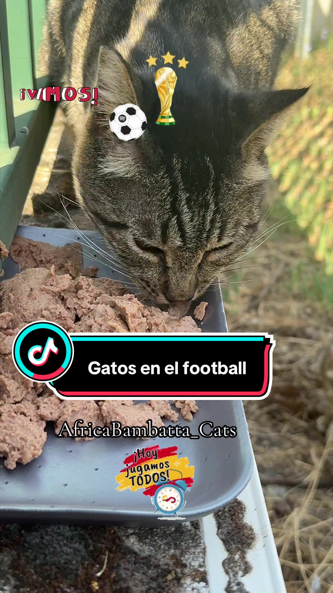@PompeyayCat