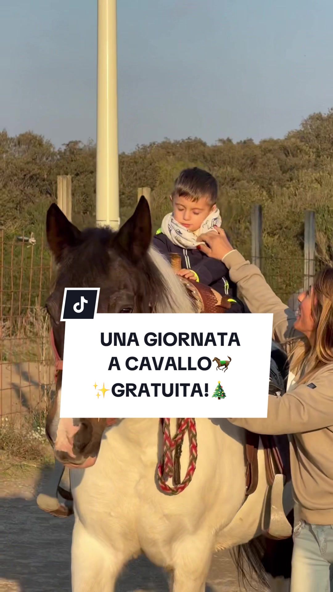 @ANGELACAPUANOHORSE