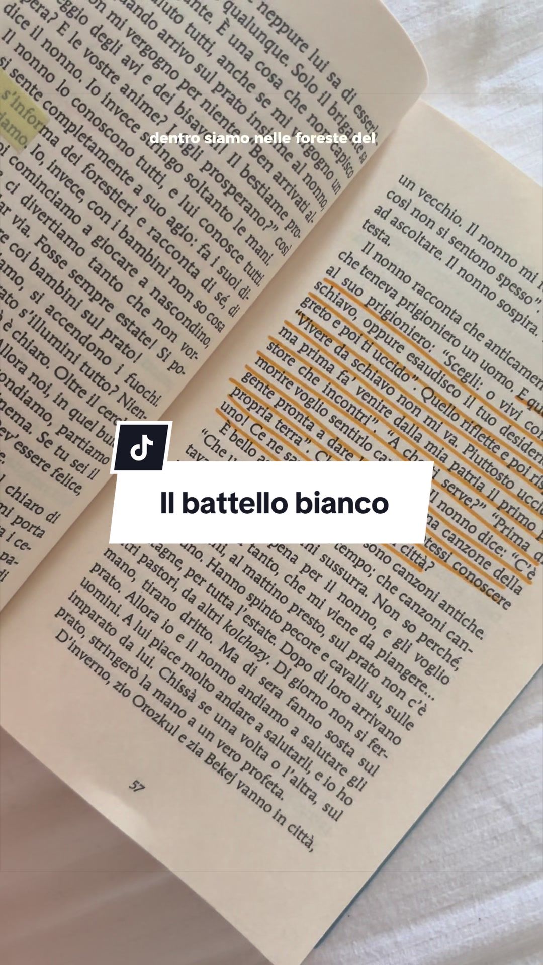 @Morgana | Booktok
