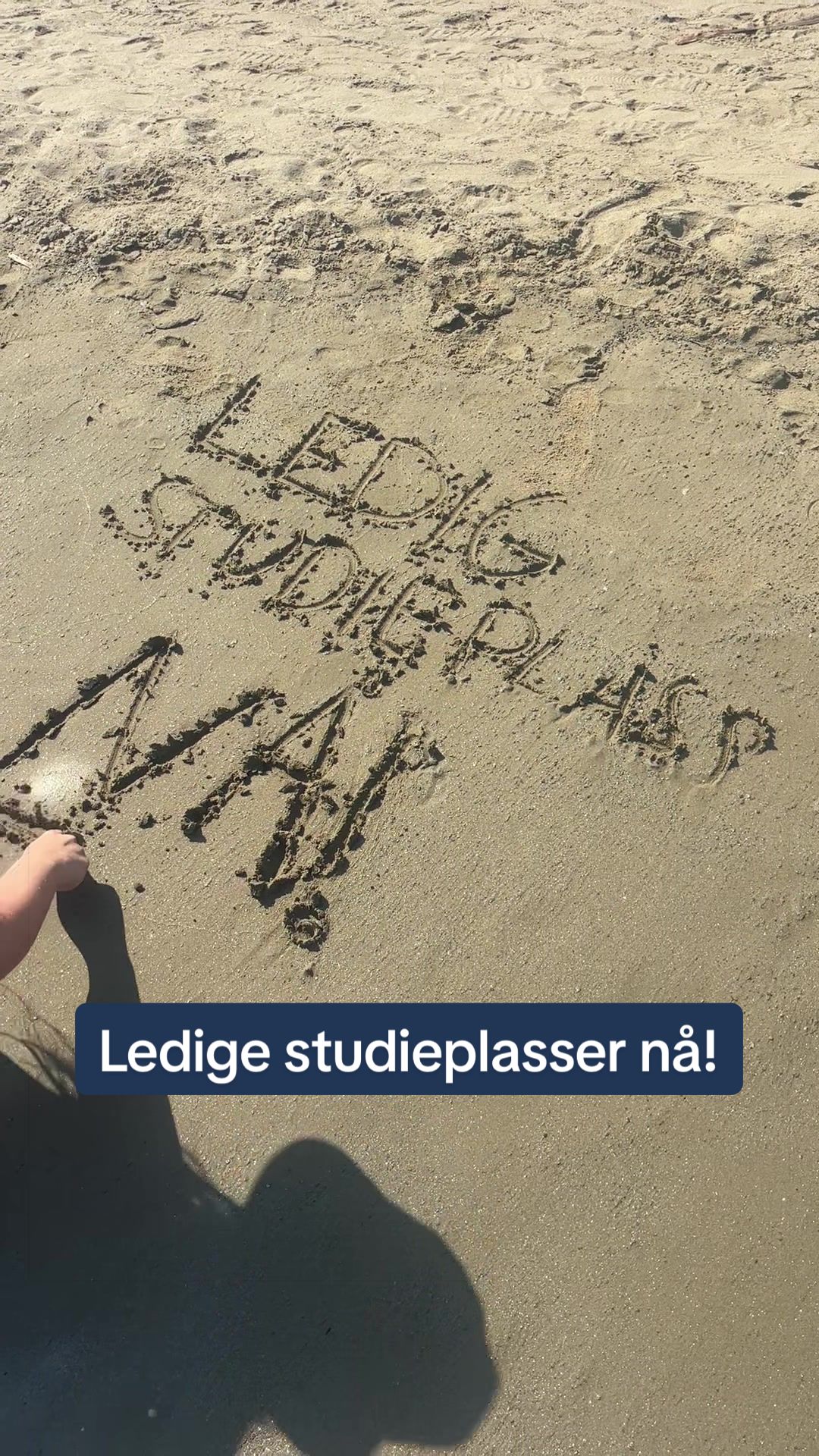 @Barnehagelærerstudenten