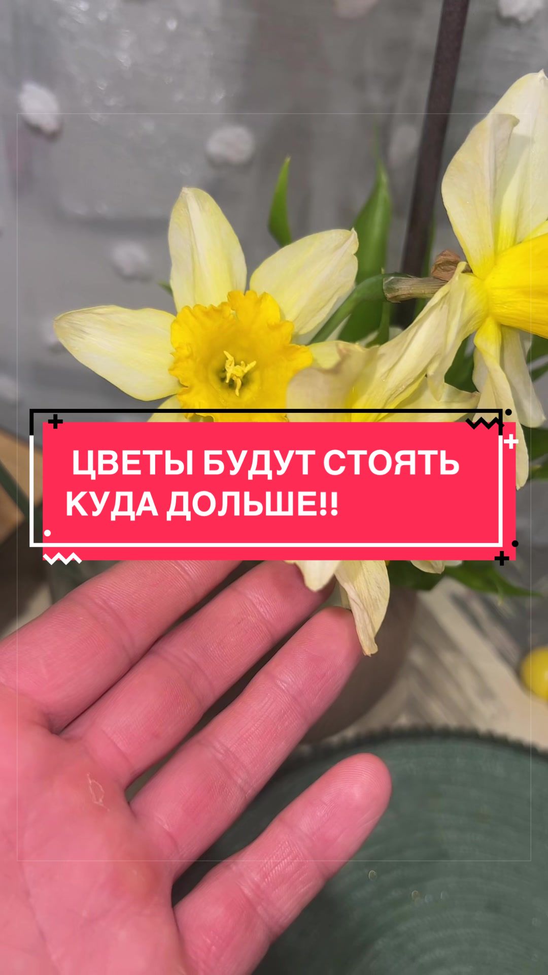@laifhak_mozgi