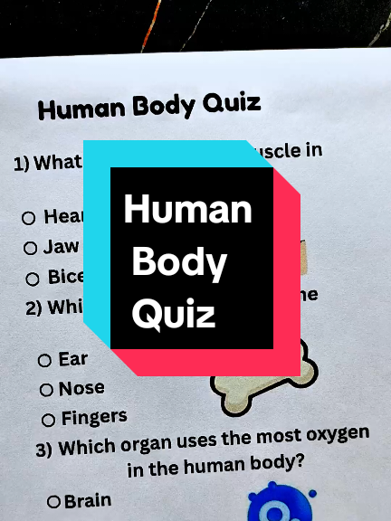 @Quiz Review