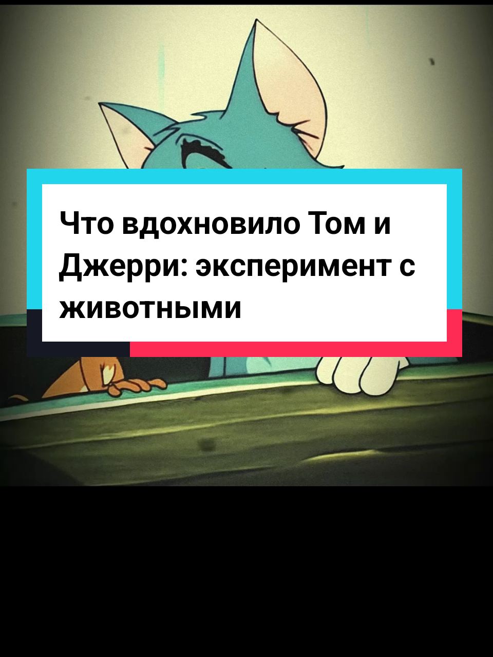 @forbidden stories