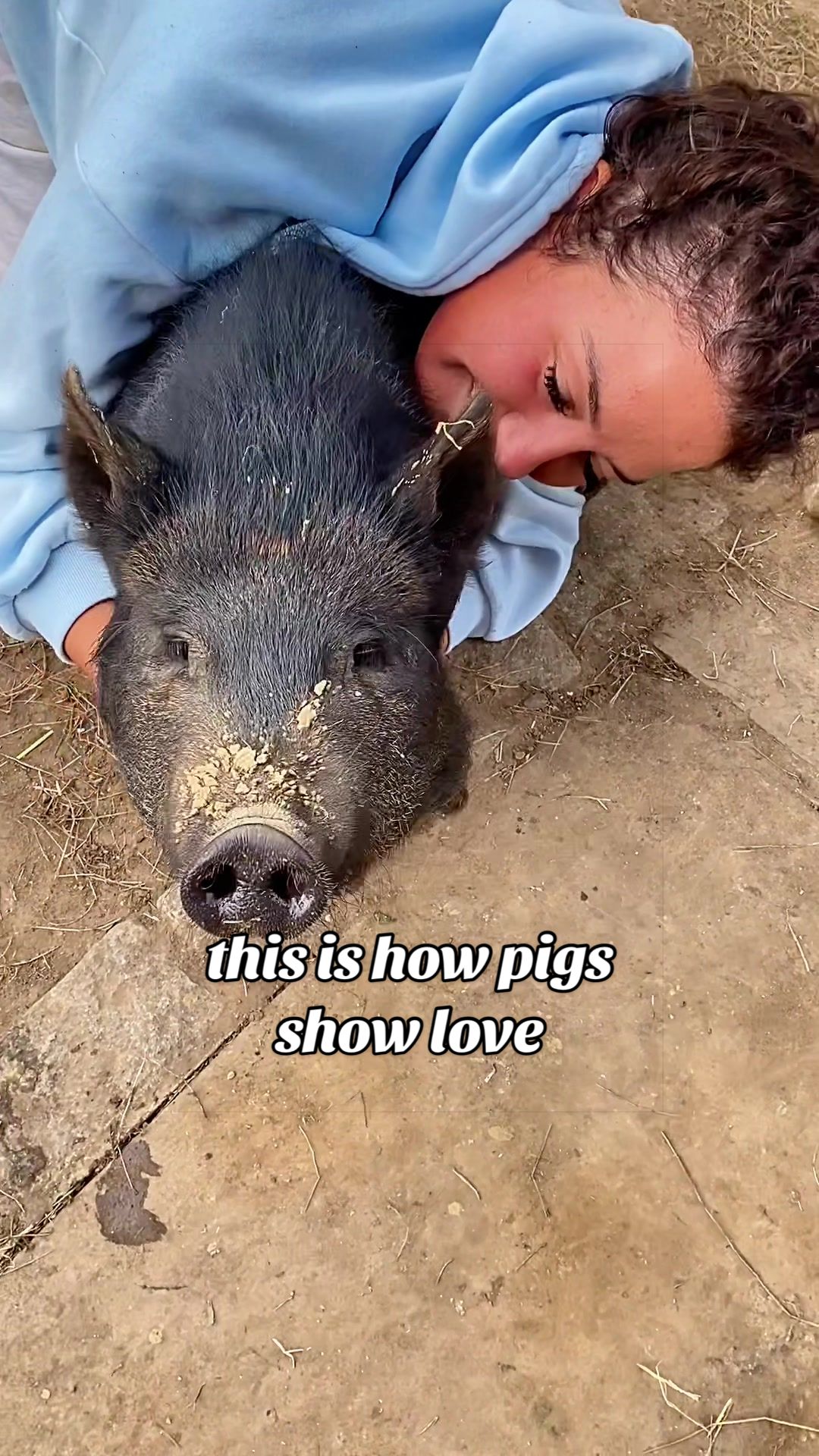 @AhimsaAnimalSanctuaryUK