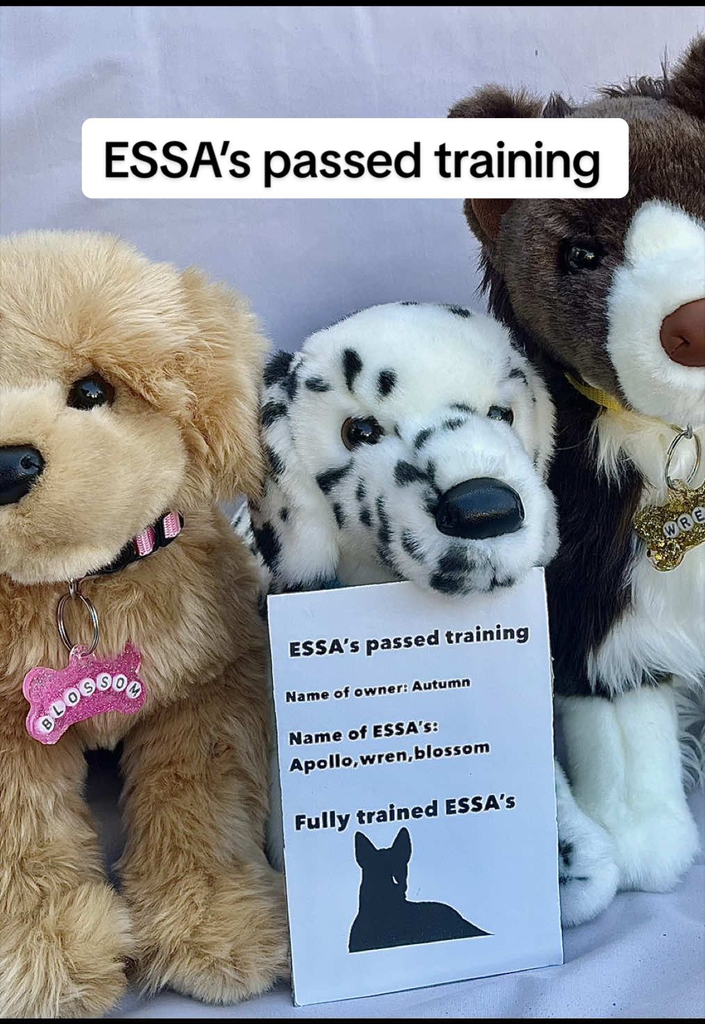 @The Essa Diaries