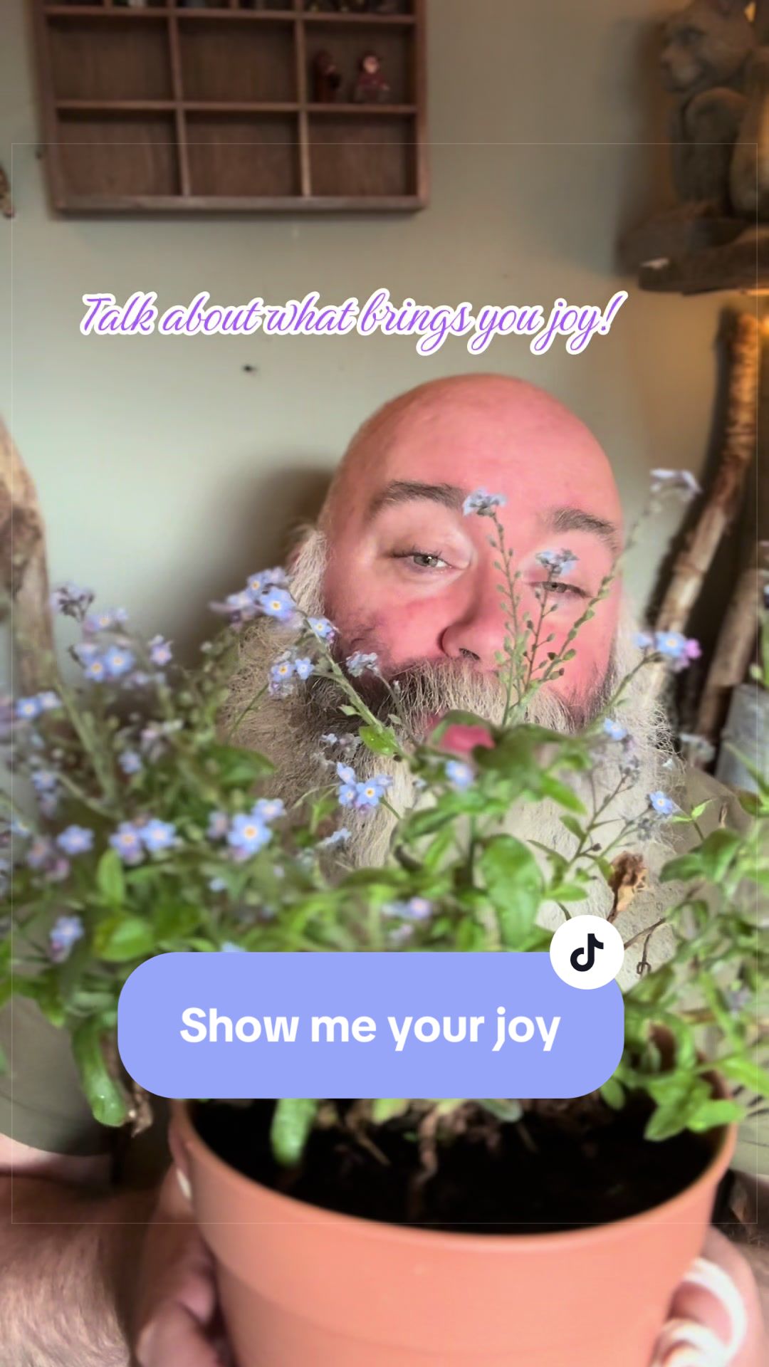 @Bearded Badger Storyteller