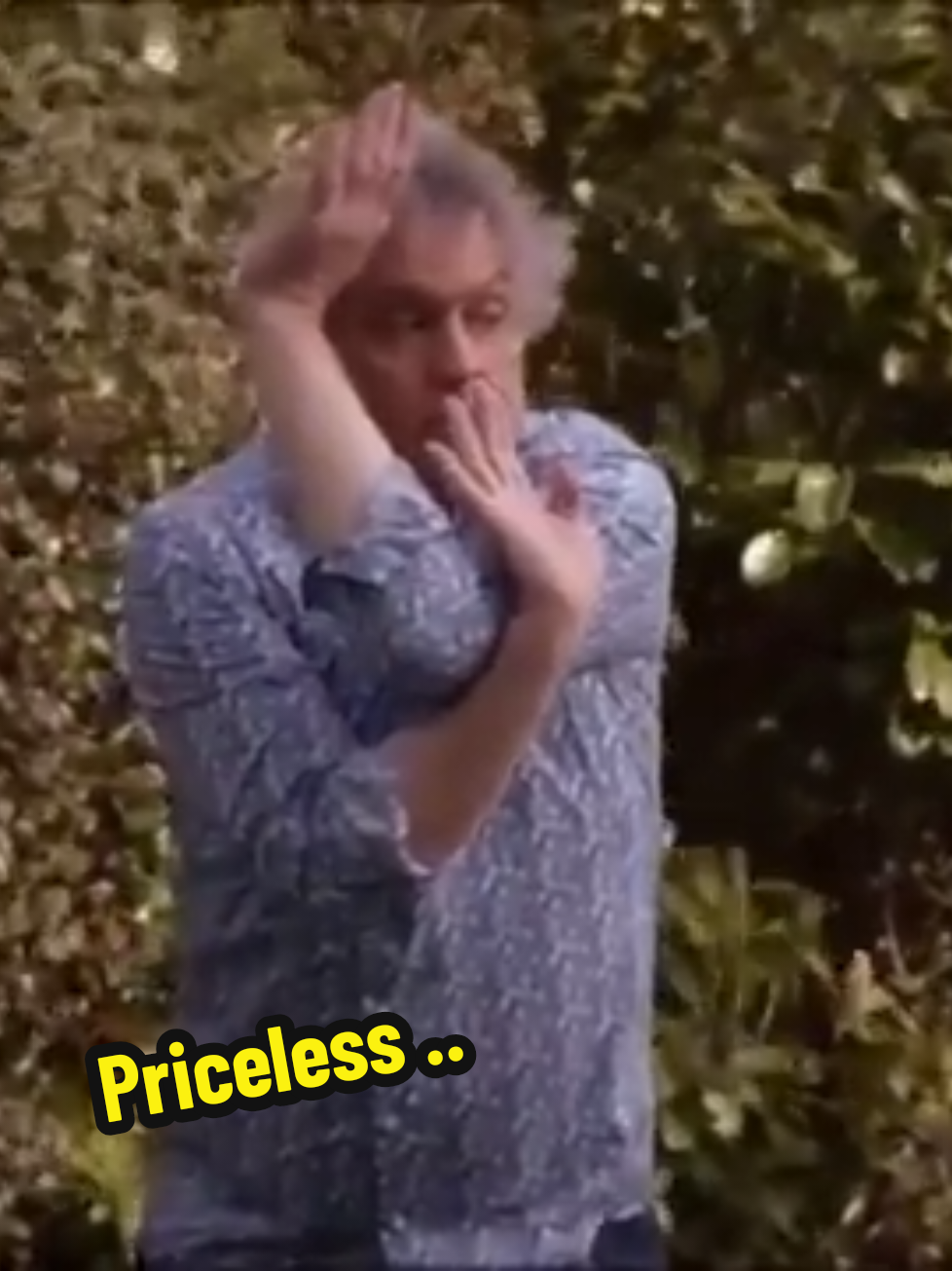 @holbytv
