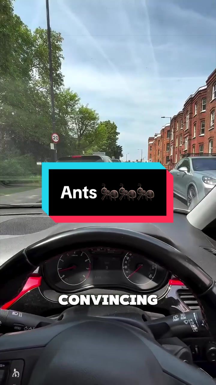 @antshq