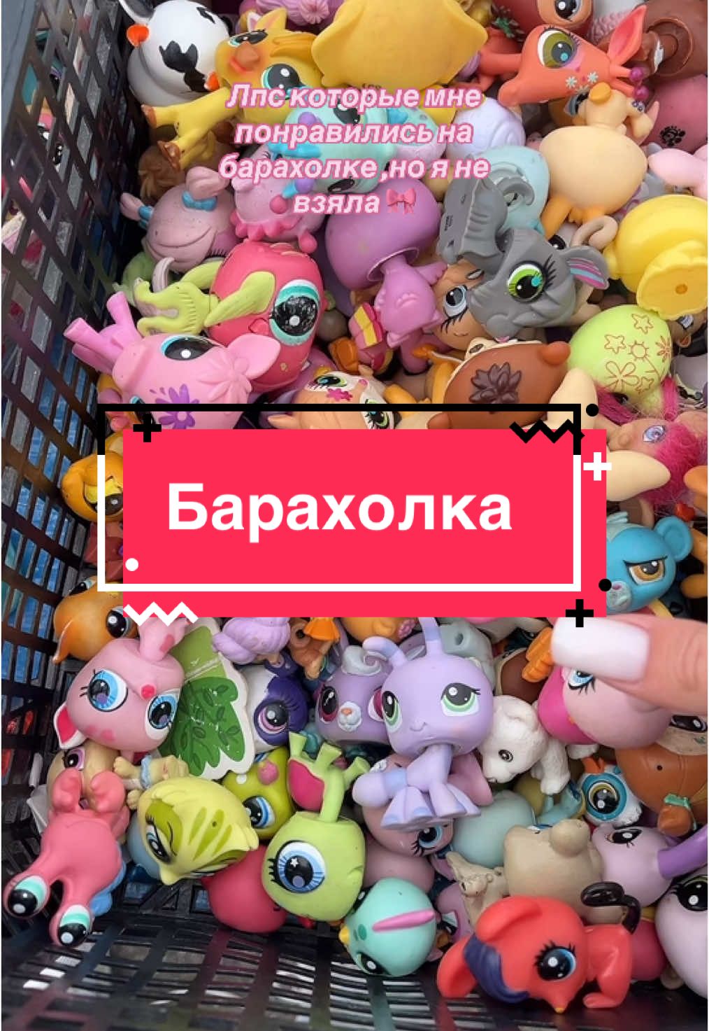 @M colector🧸