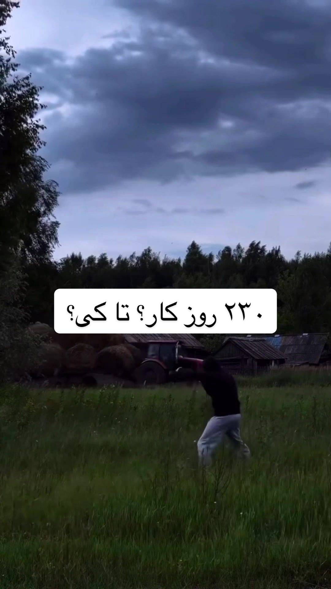 @Elnaz