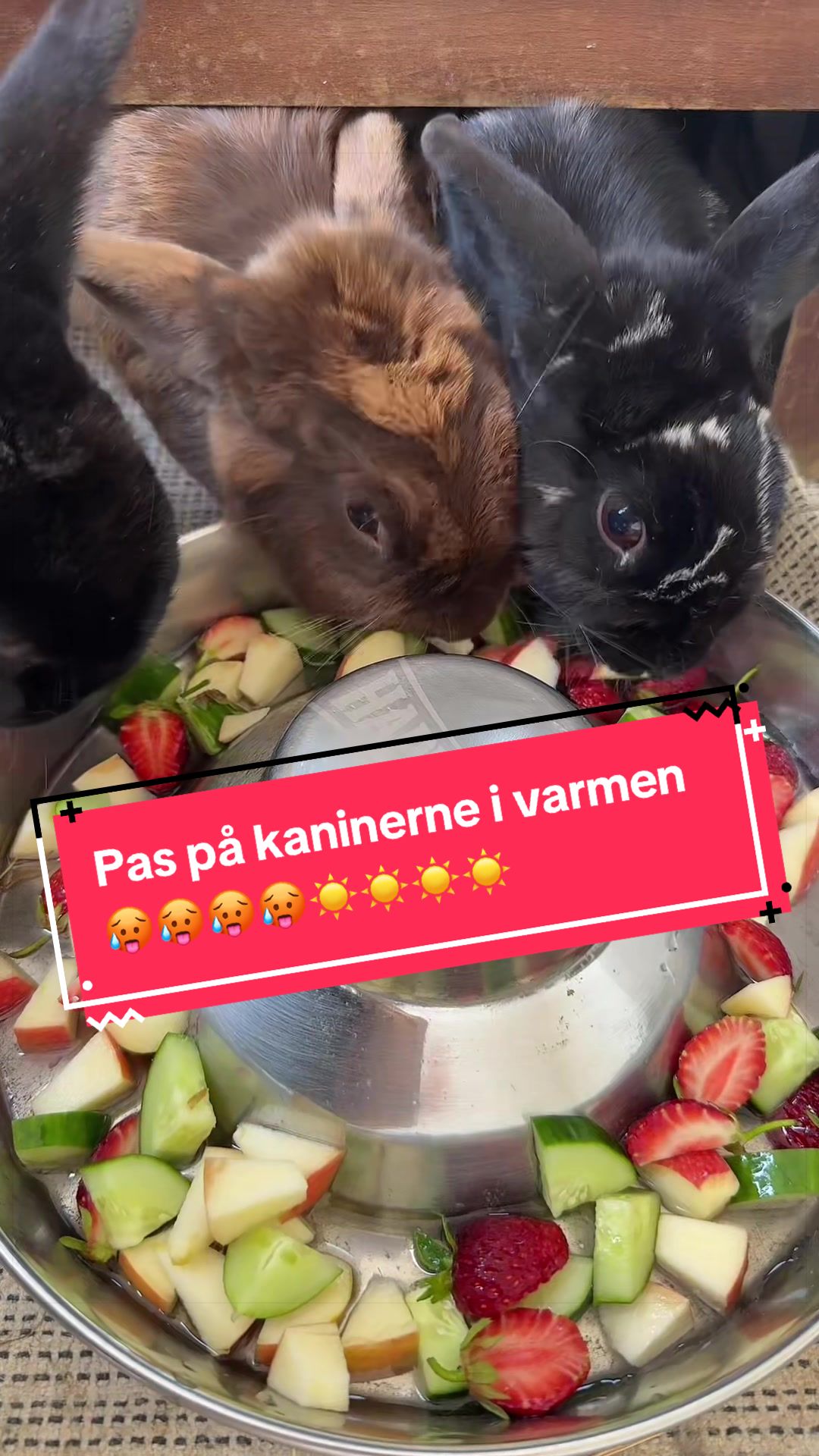 @pynteprinsessen