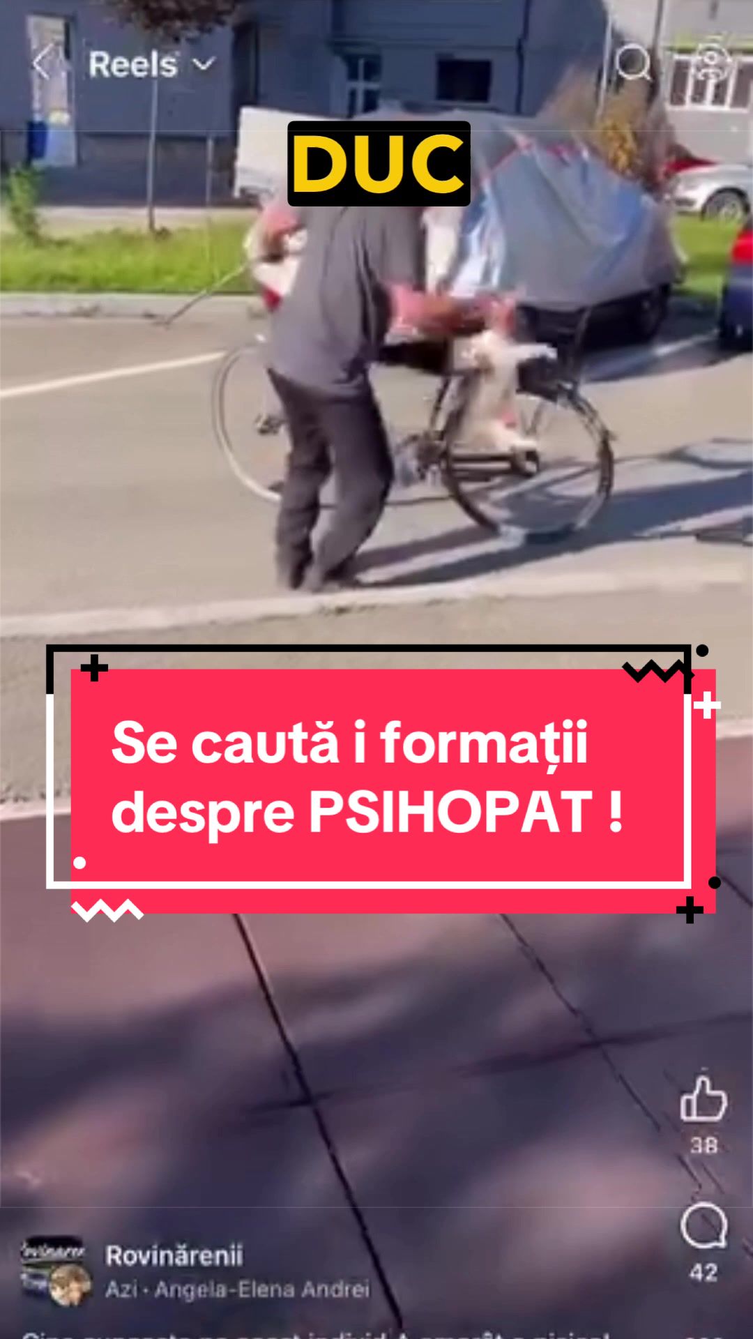 @Tudor-Tim Ionescu