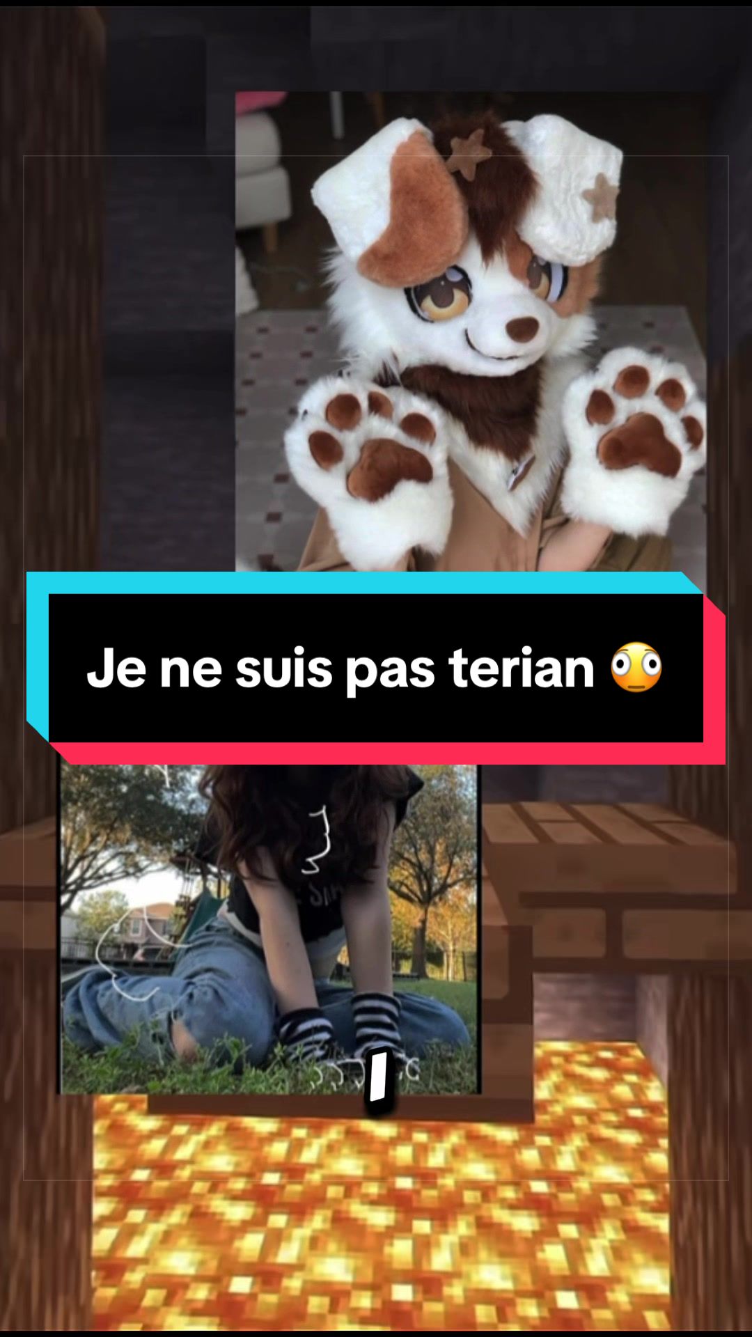 @ℙ𝕦𝕡𝕡𝕪~𝔸𝕪𝕦𝕞𝕚𝕚 🐶🩵