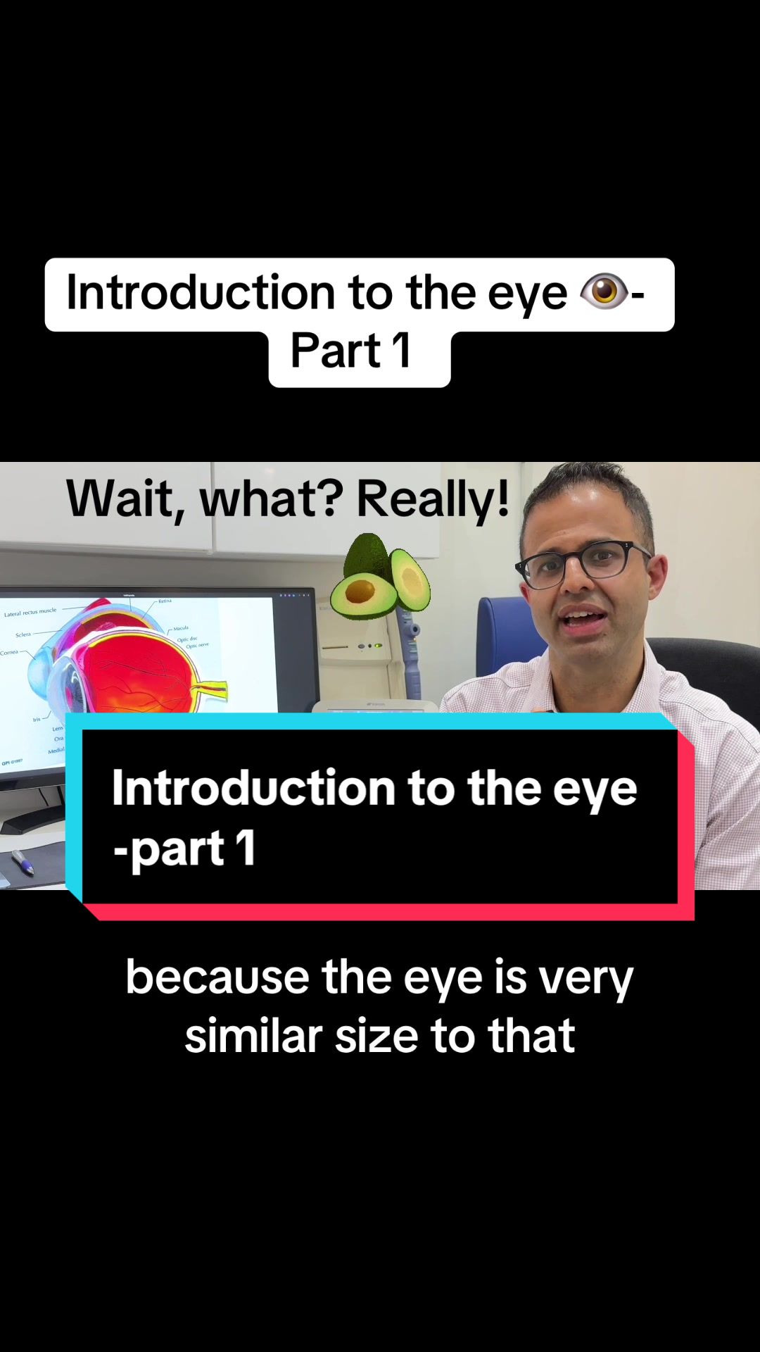 @Eyediology Opticians