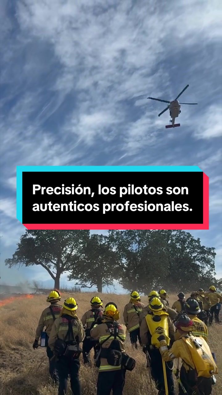 @Bombero Forestal