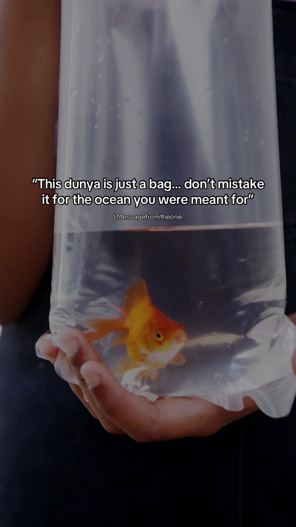 @Message From The One