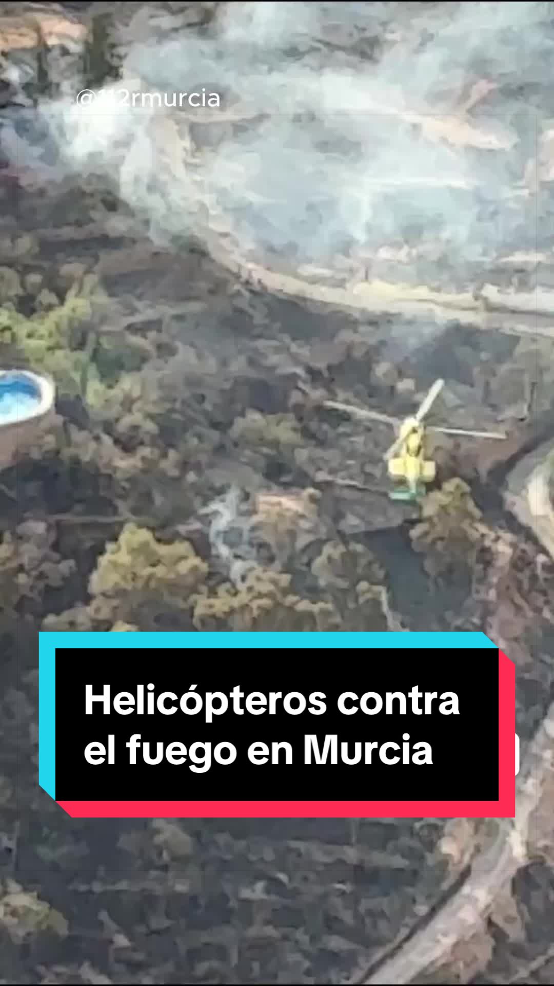 @EL ESPA&Ntilde;OL 🦁