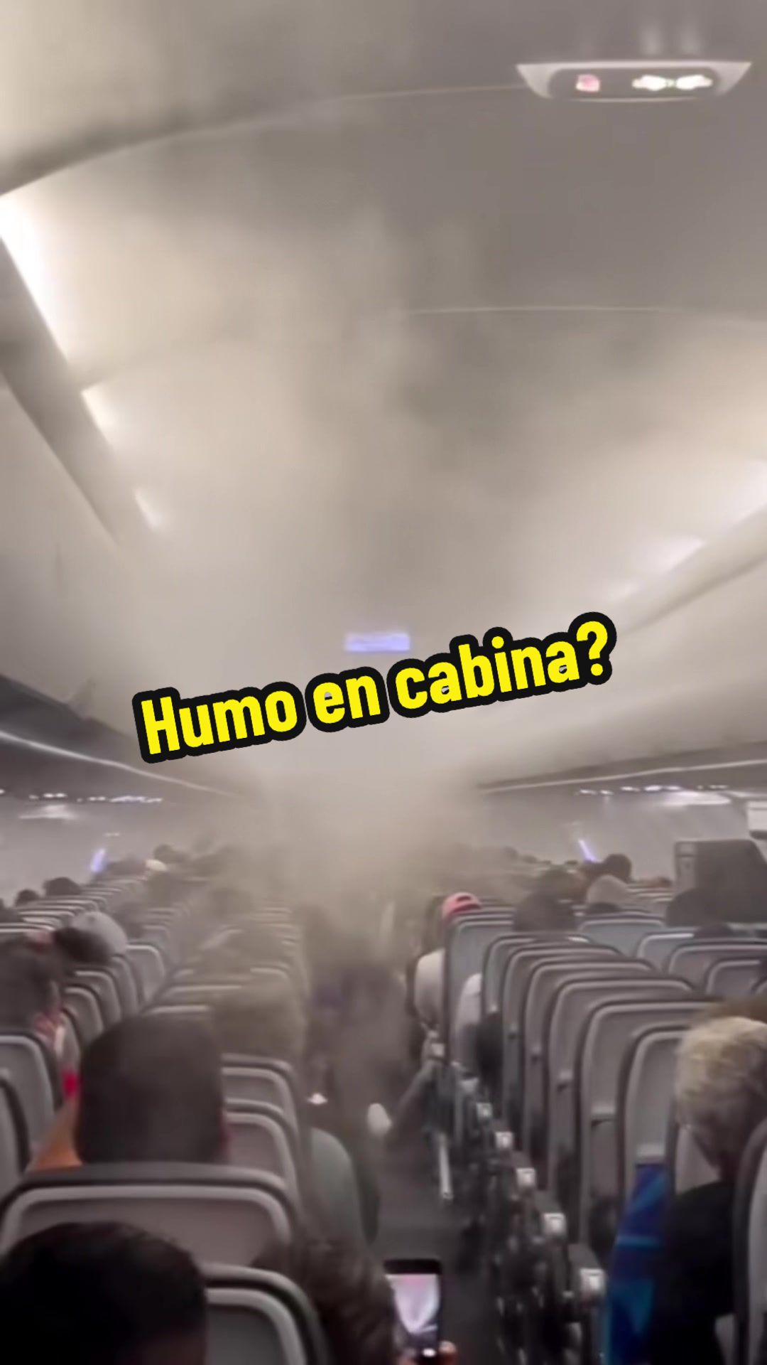 @Ale de la Vega