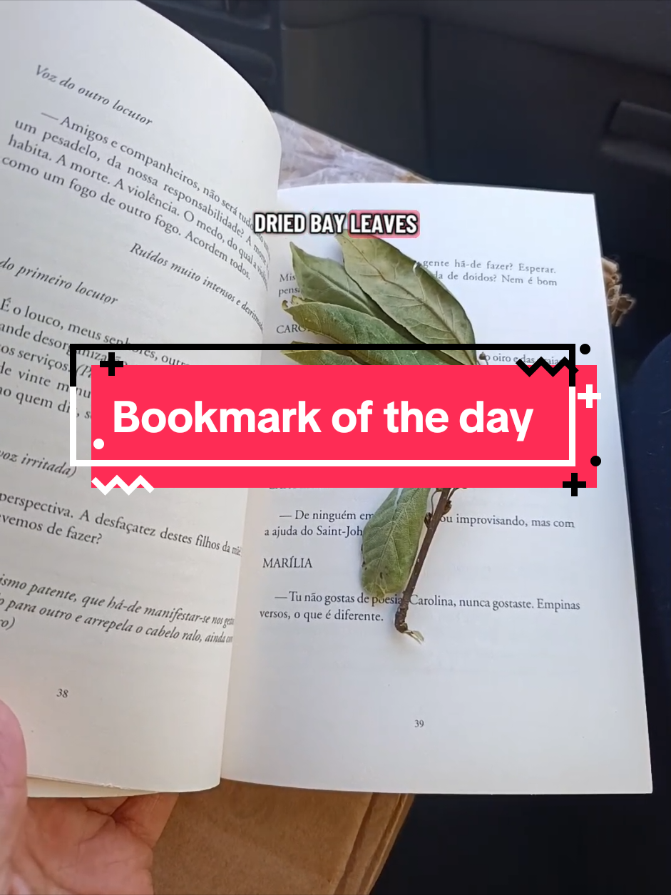 @lucsbooks🇵🇹