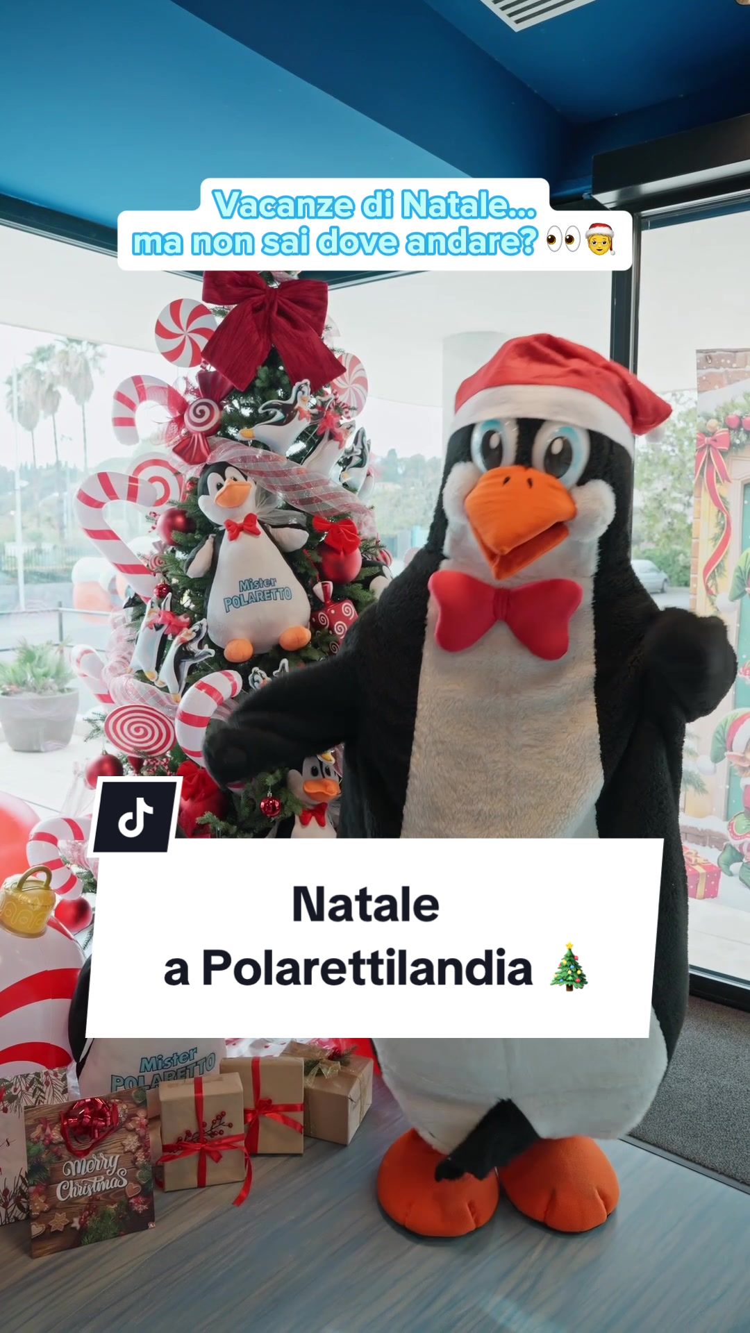 @Polaretti Dolfin