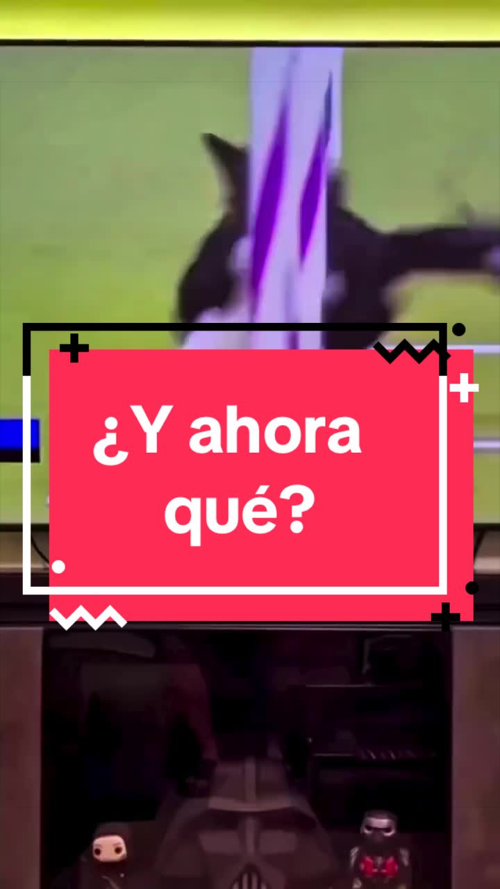 @adican_adiestradorcanino