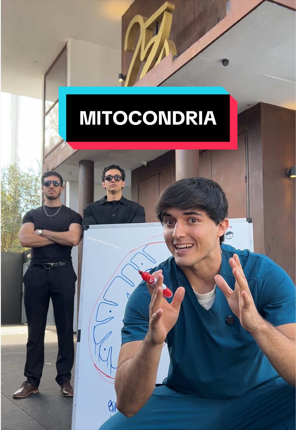@fisioteduca