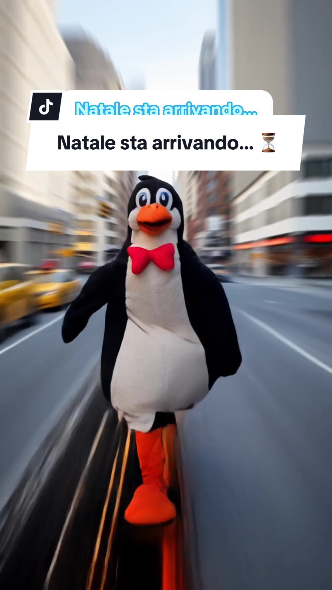 @Polaretti Dolfin