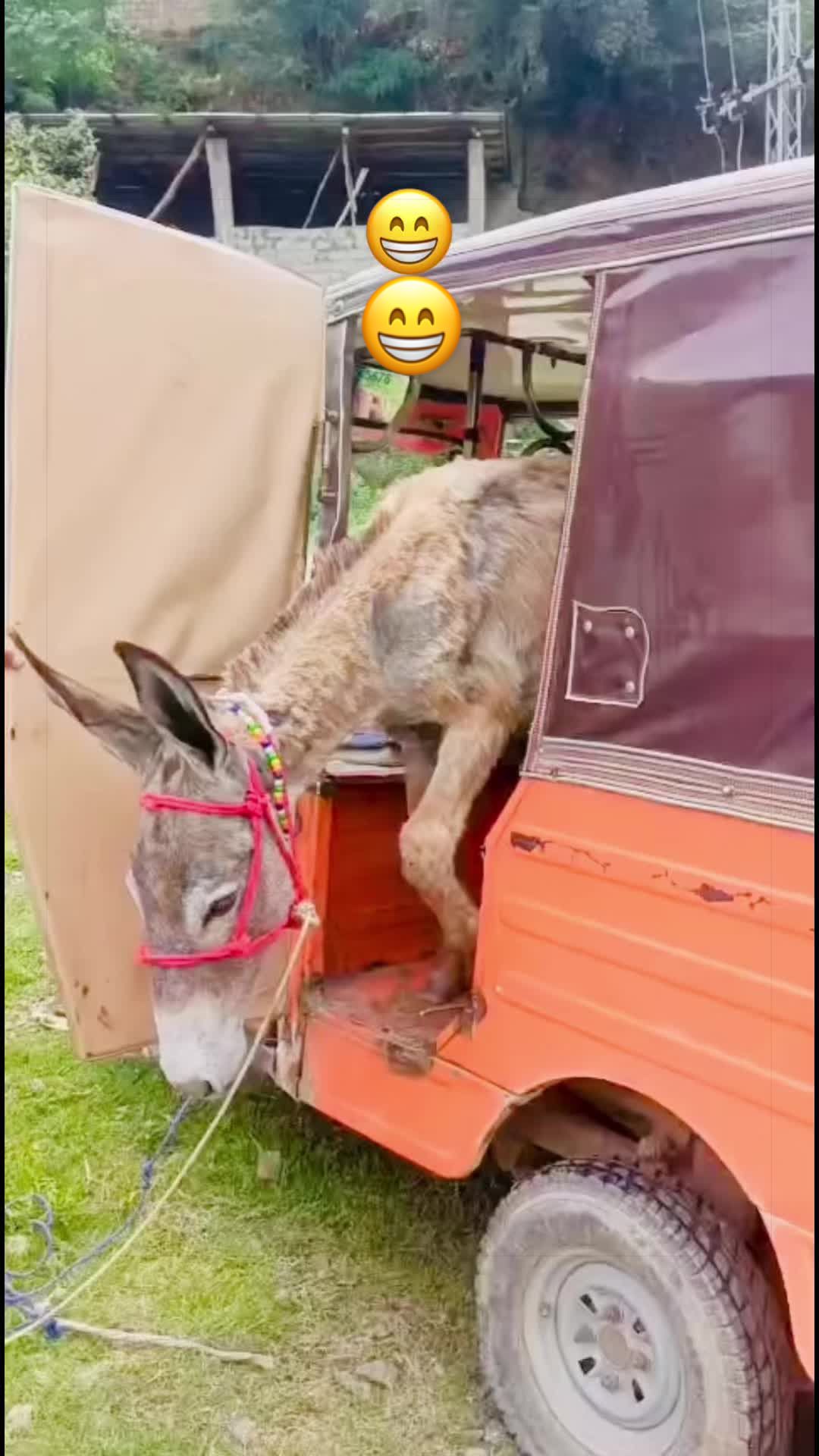 @mkbadsha67
