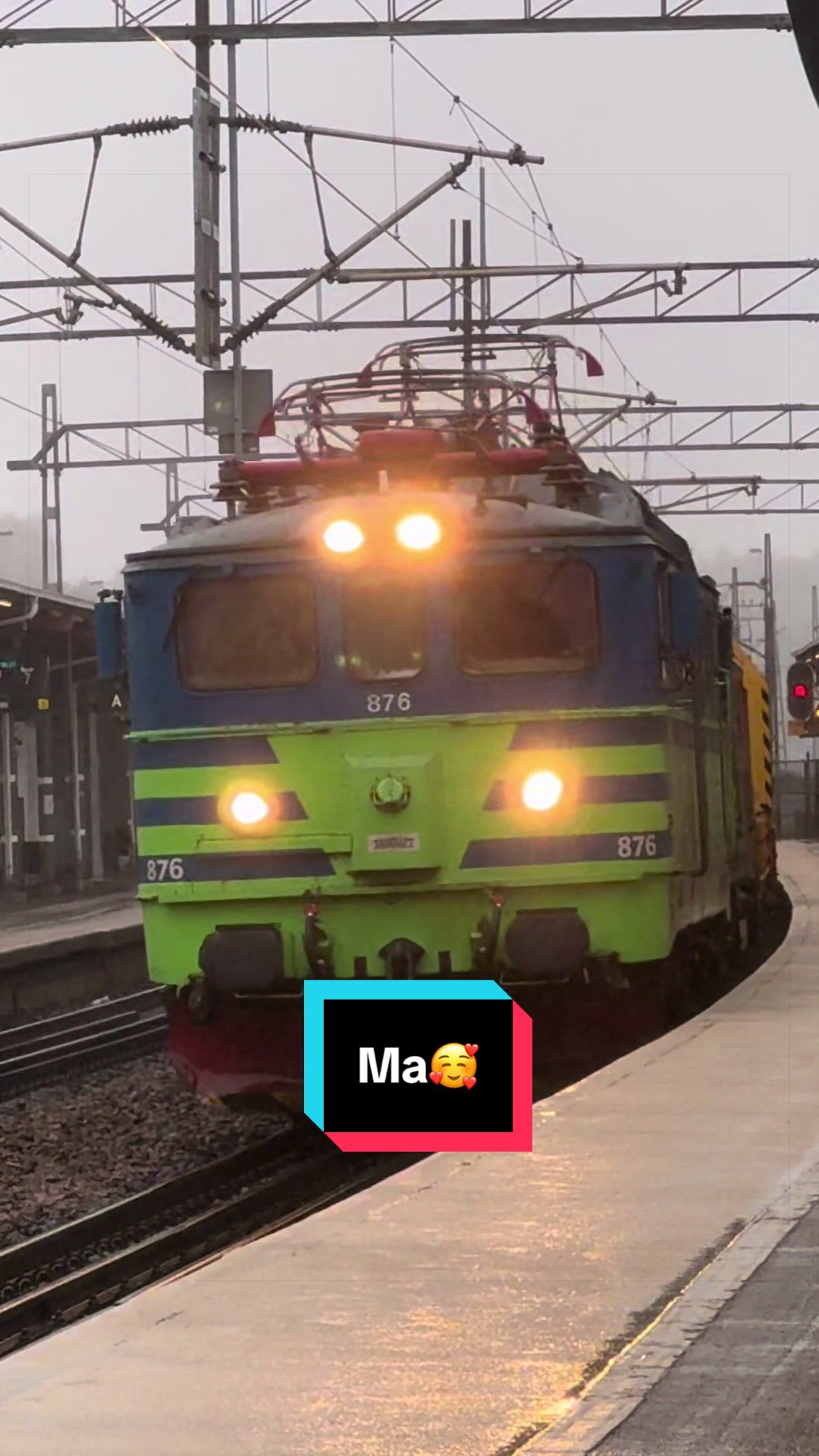 @đžThe Swedish Trainspotterđž