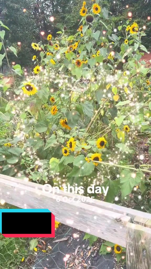 @💖꧁nazma꧂🌟💫