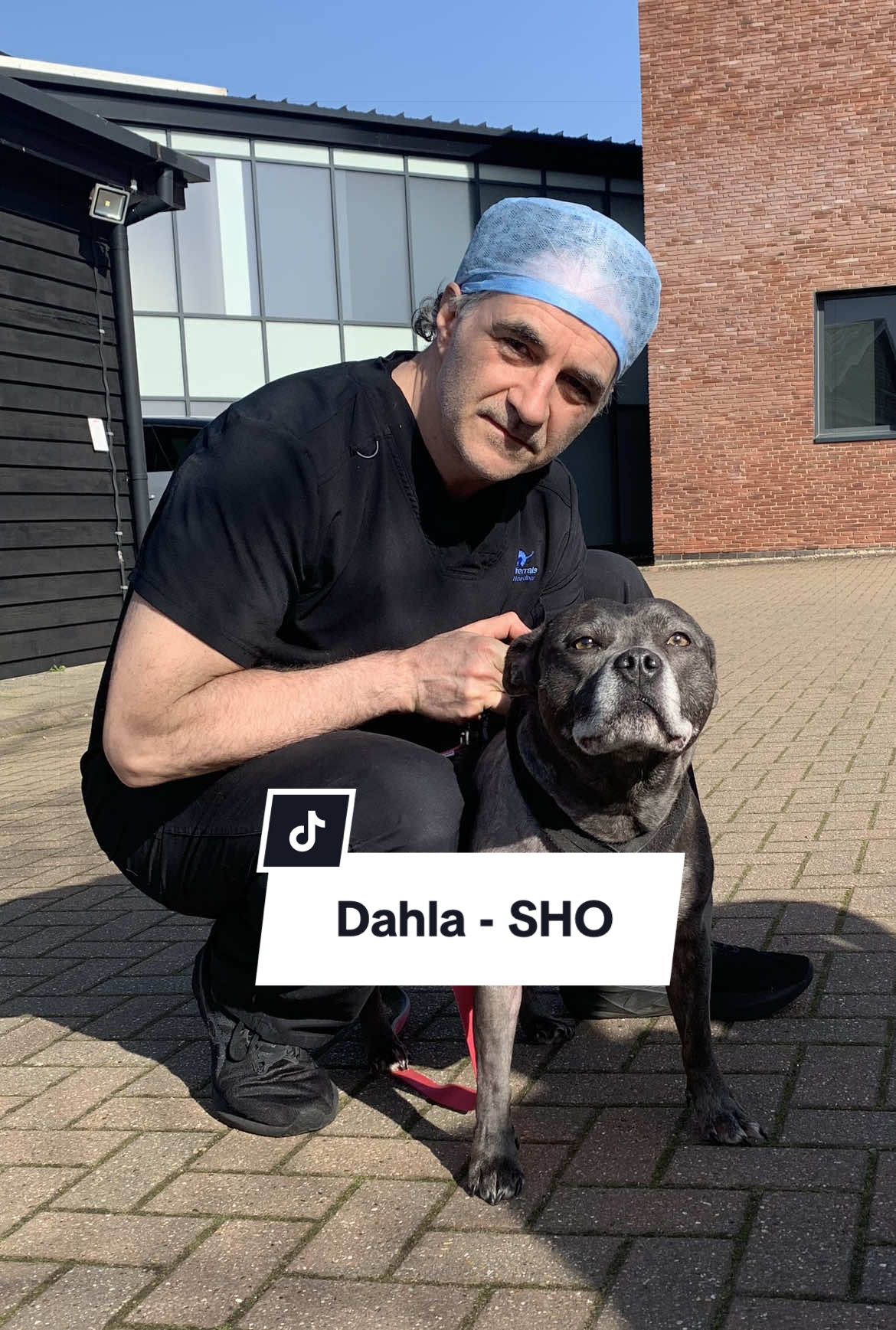@profnoelfitzpatrick