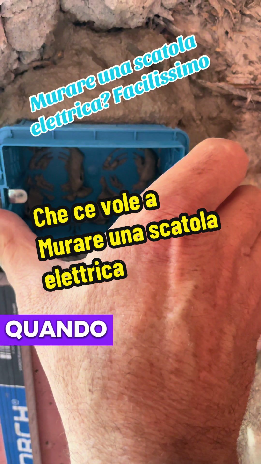 @Alessandro Cuomo ♌️