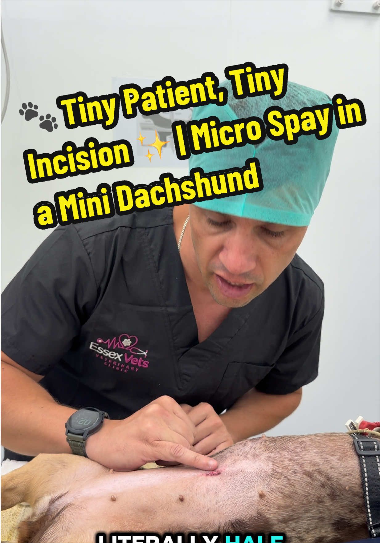 @Tomasthevet