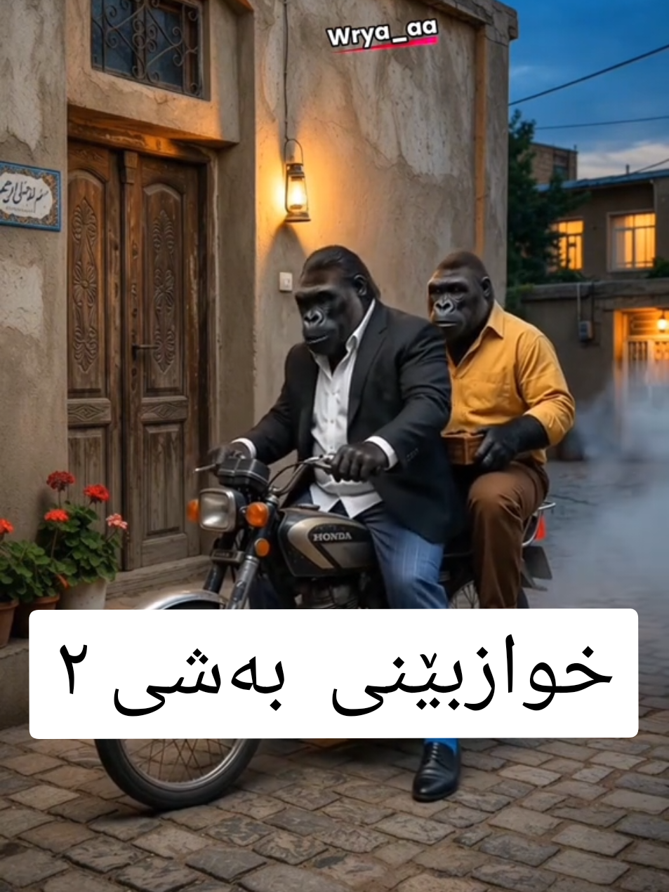 @wrya_aa