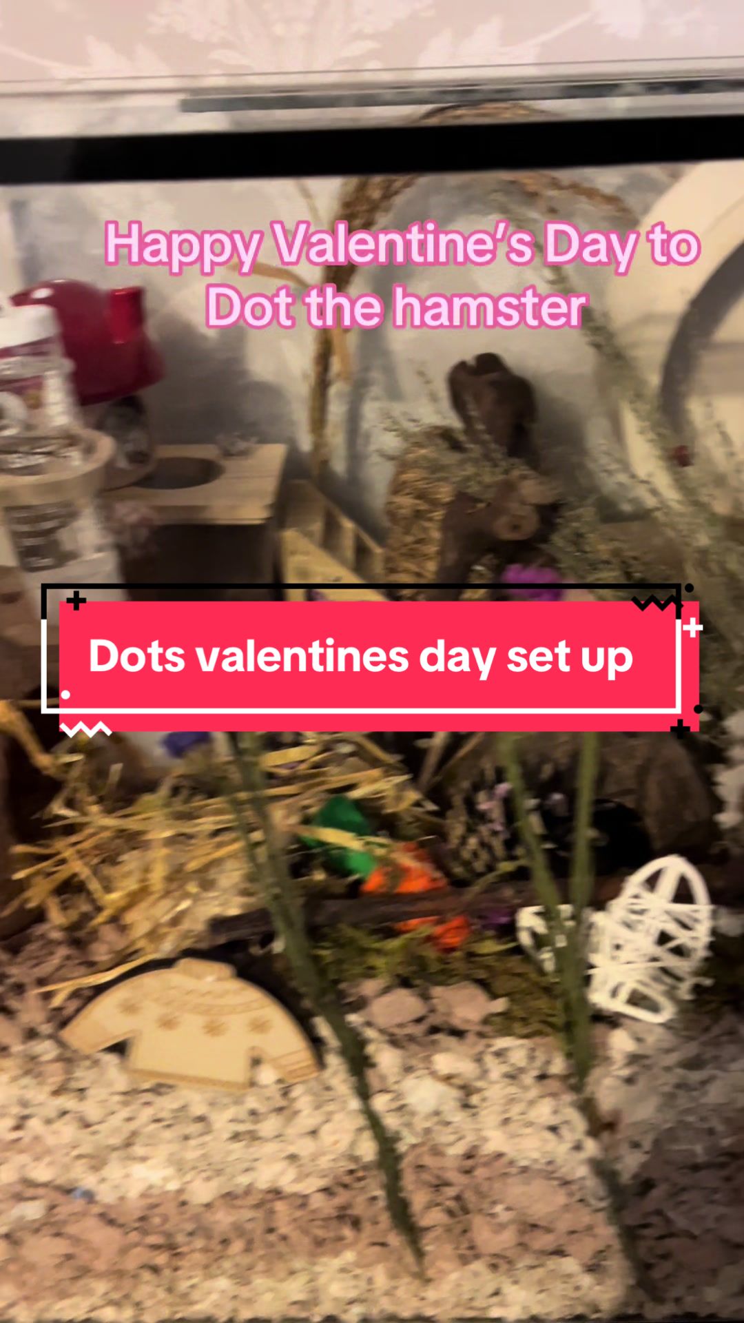 @The land of Dot