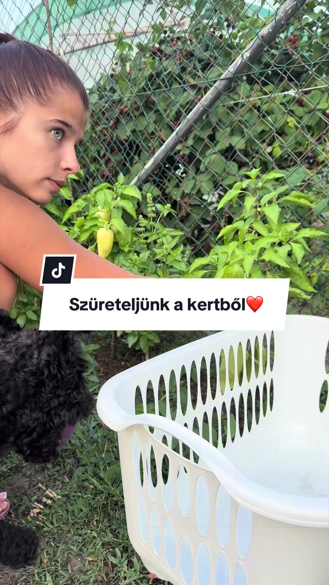 @Viczián Viktória