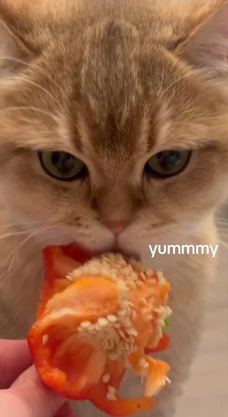 @Restart