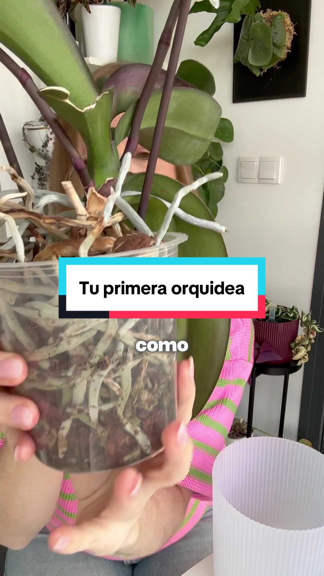 @🌱 En Abril Hojas Mil 🌱