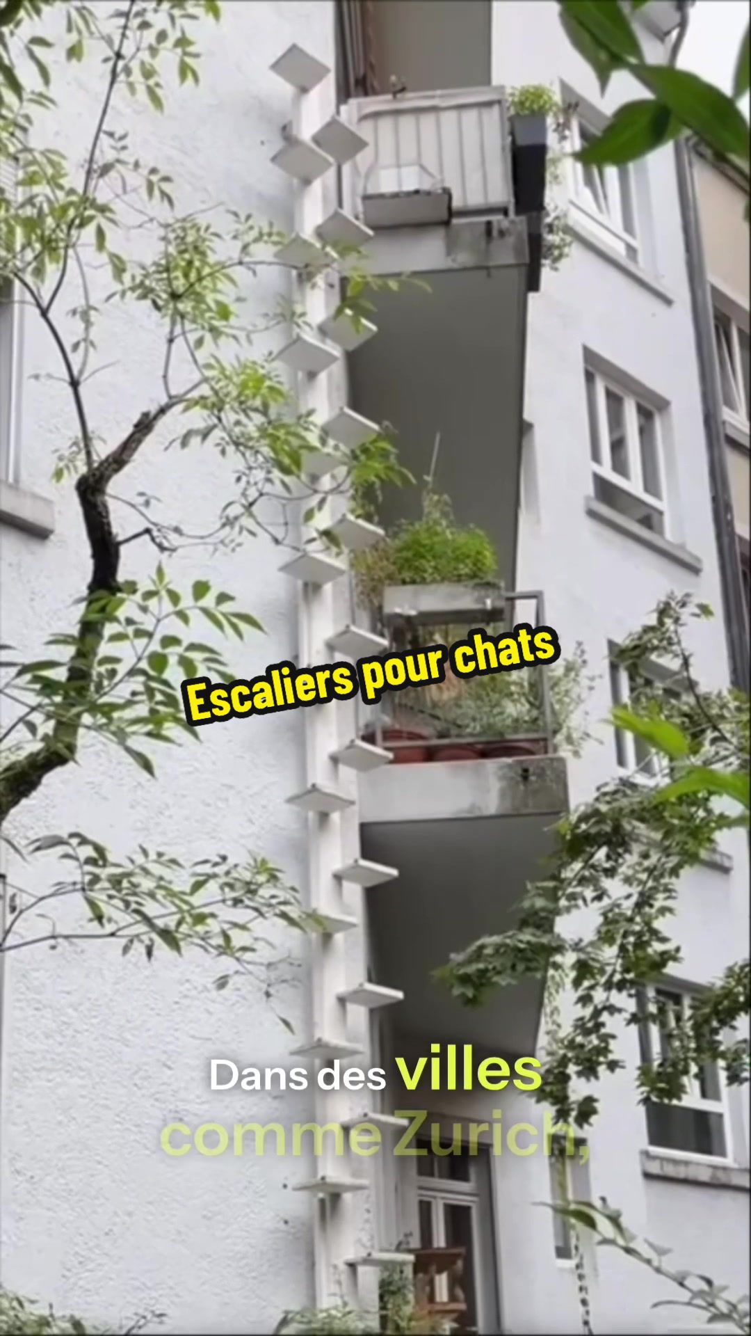 @AmineXLab