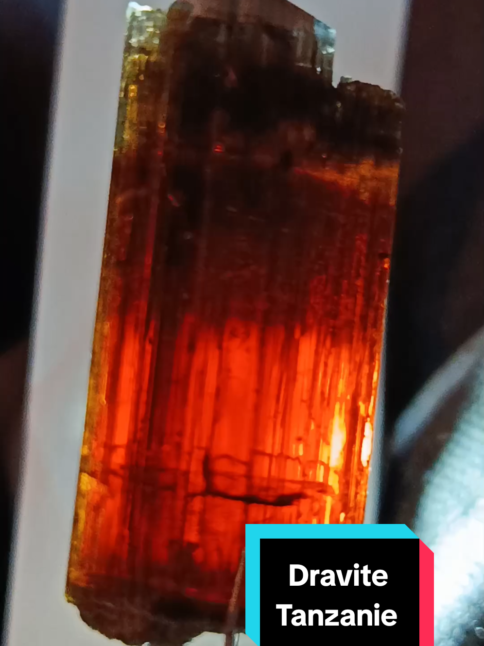 @minerodoc 🇫🇷⛏️🤓⛏️