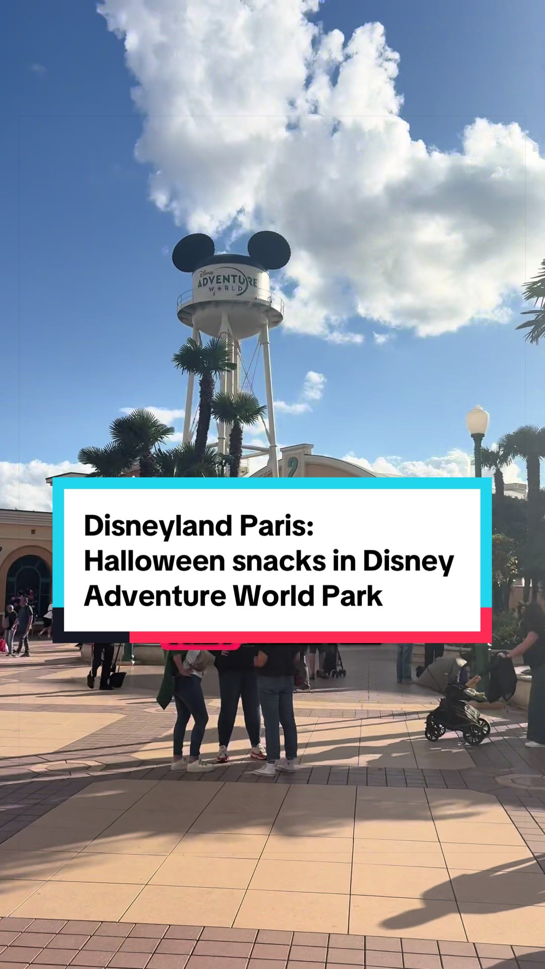 @Em & Step | Travel & Disney ✈️