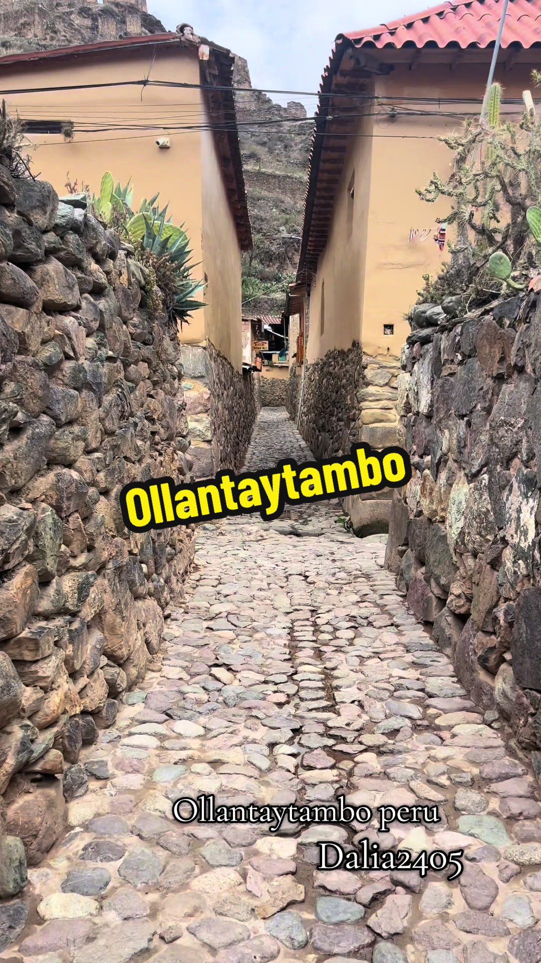 @Dalia2405