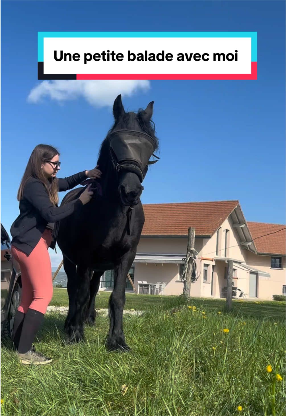@mon poney pie