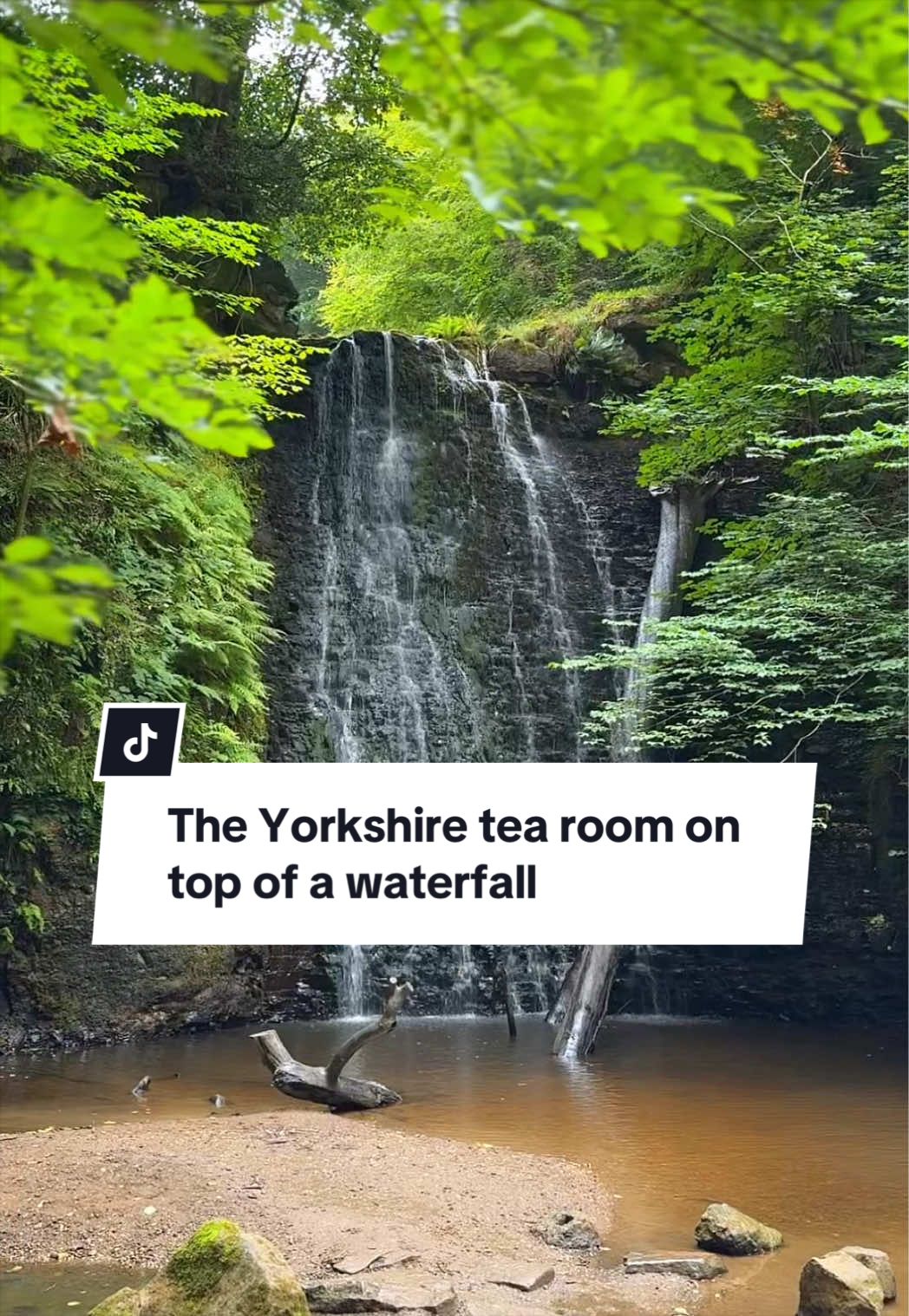 @The Yorkshireman