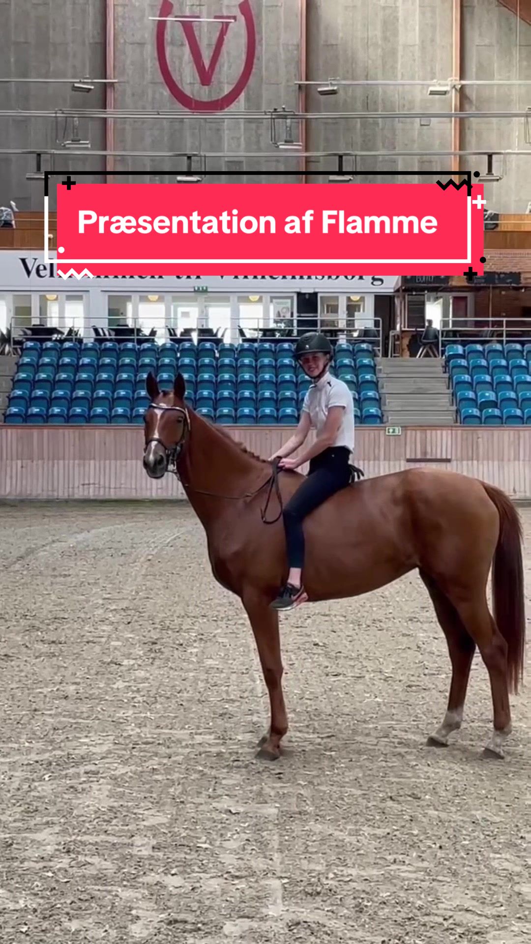 @rask_horses