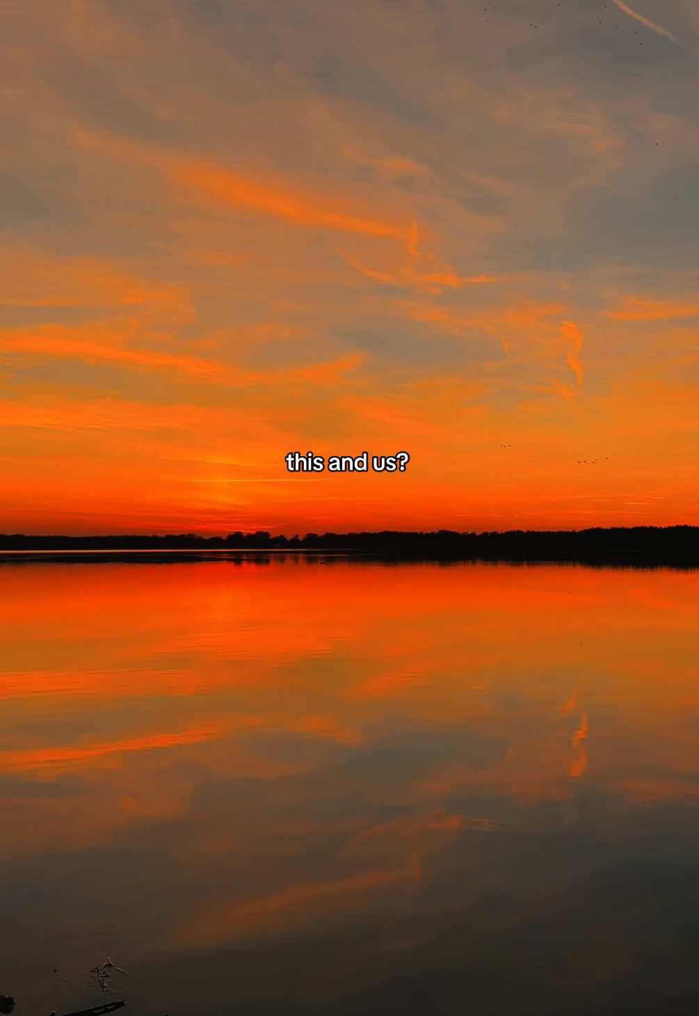 @Luca 🌅