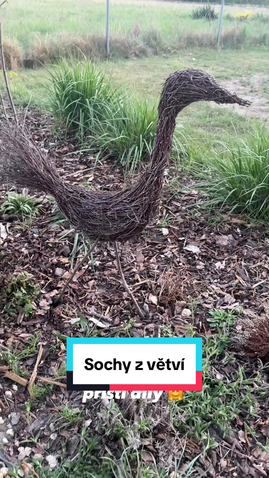 @Tereza - Srdce z jeřabin