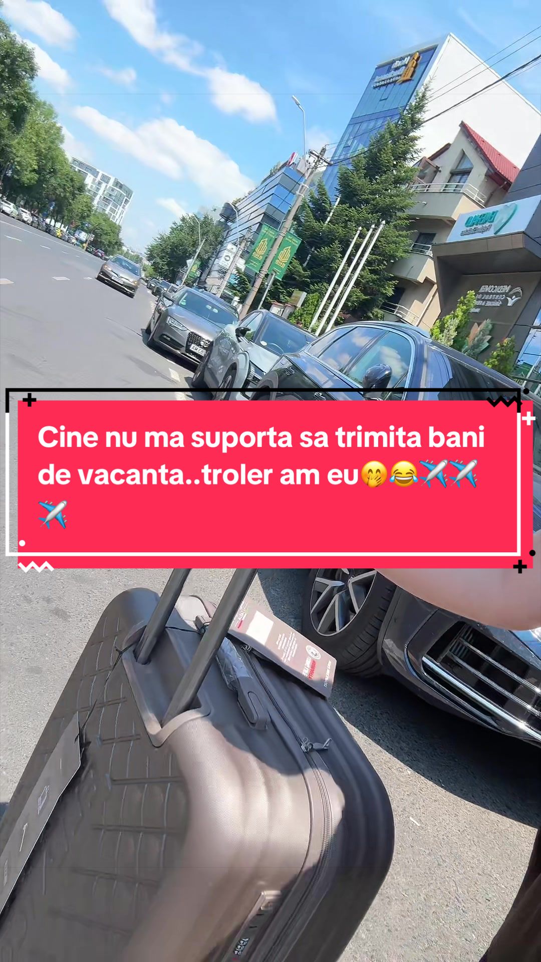 @Andreea Grădinaru🪴