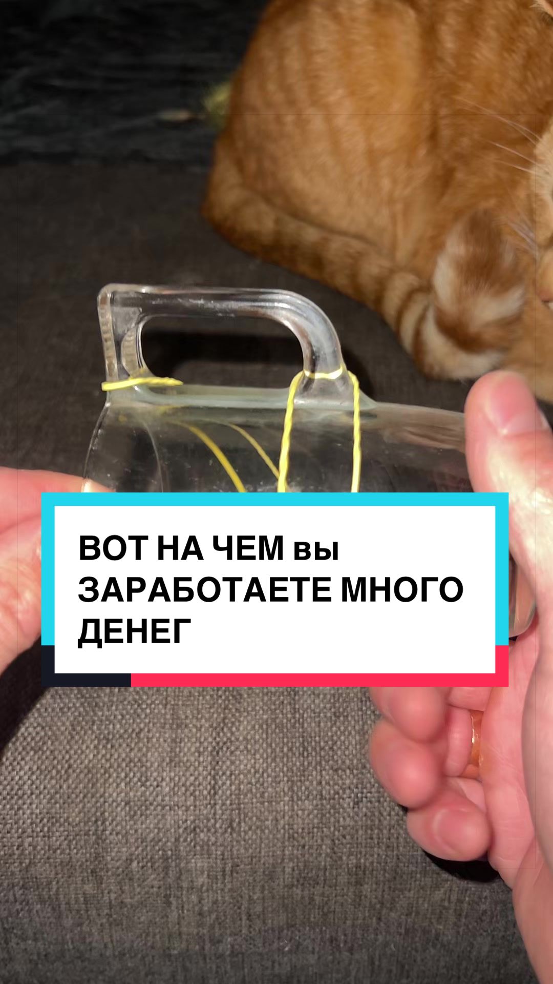 @laifhak_mozgi
