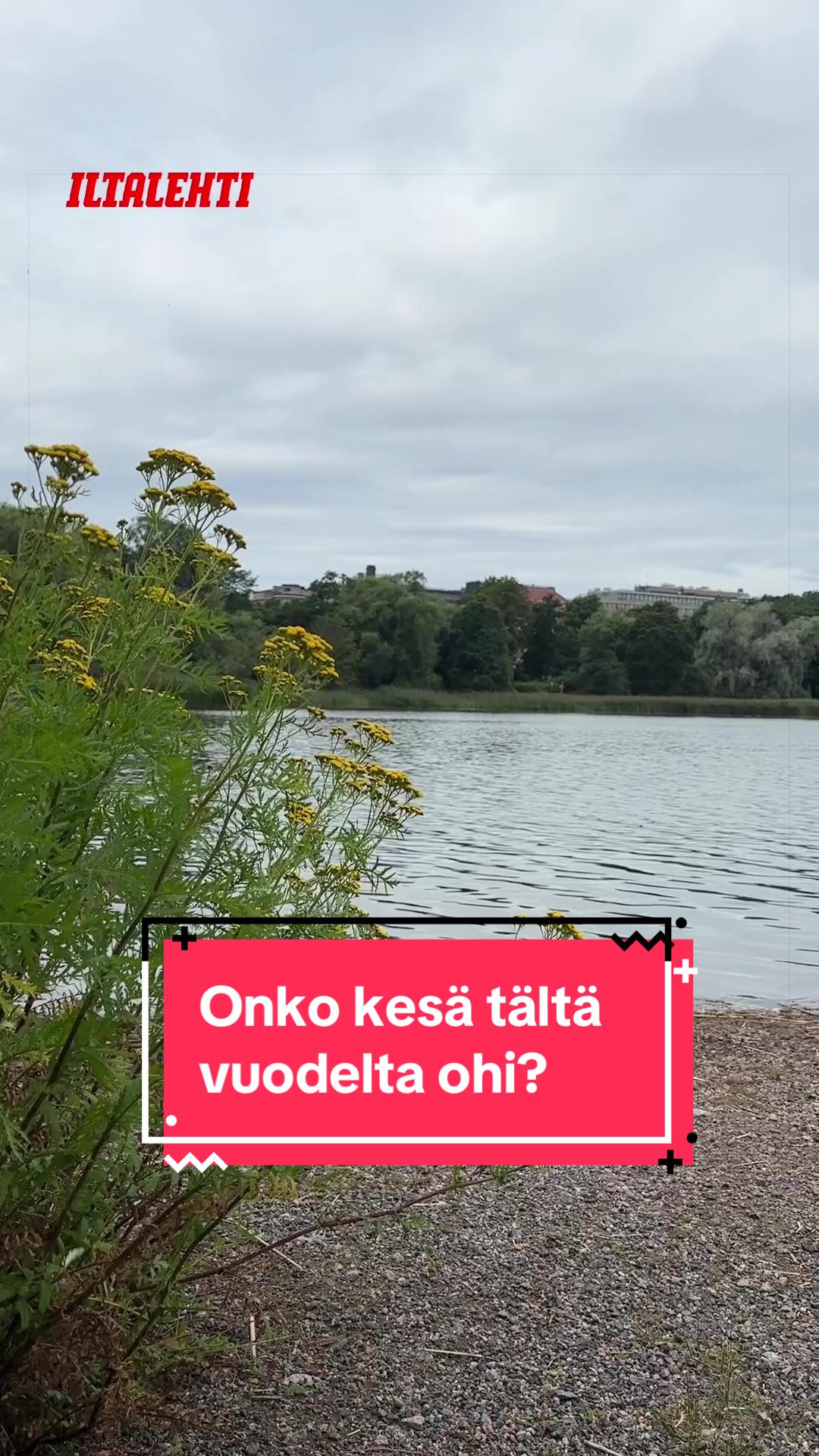 @Iltalehti